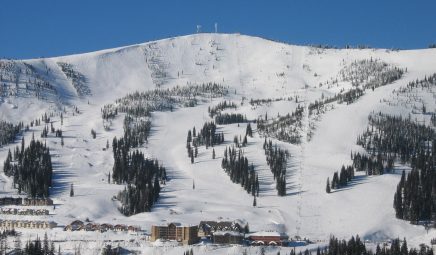 schweitzer schweitzer